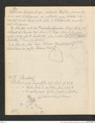 Seite 12, Tagebuch "Paläolithstation | Lang-Mannersdorf | Parzelle 1329" (NHMW-PRAE-BBB-18)